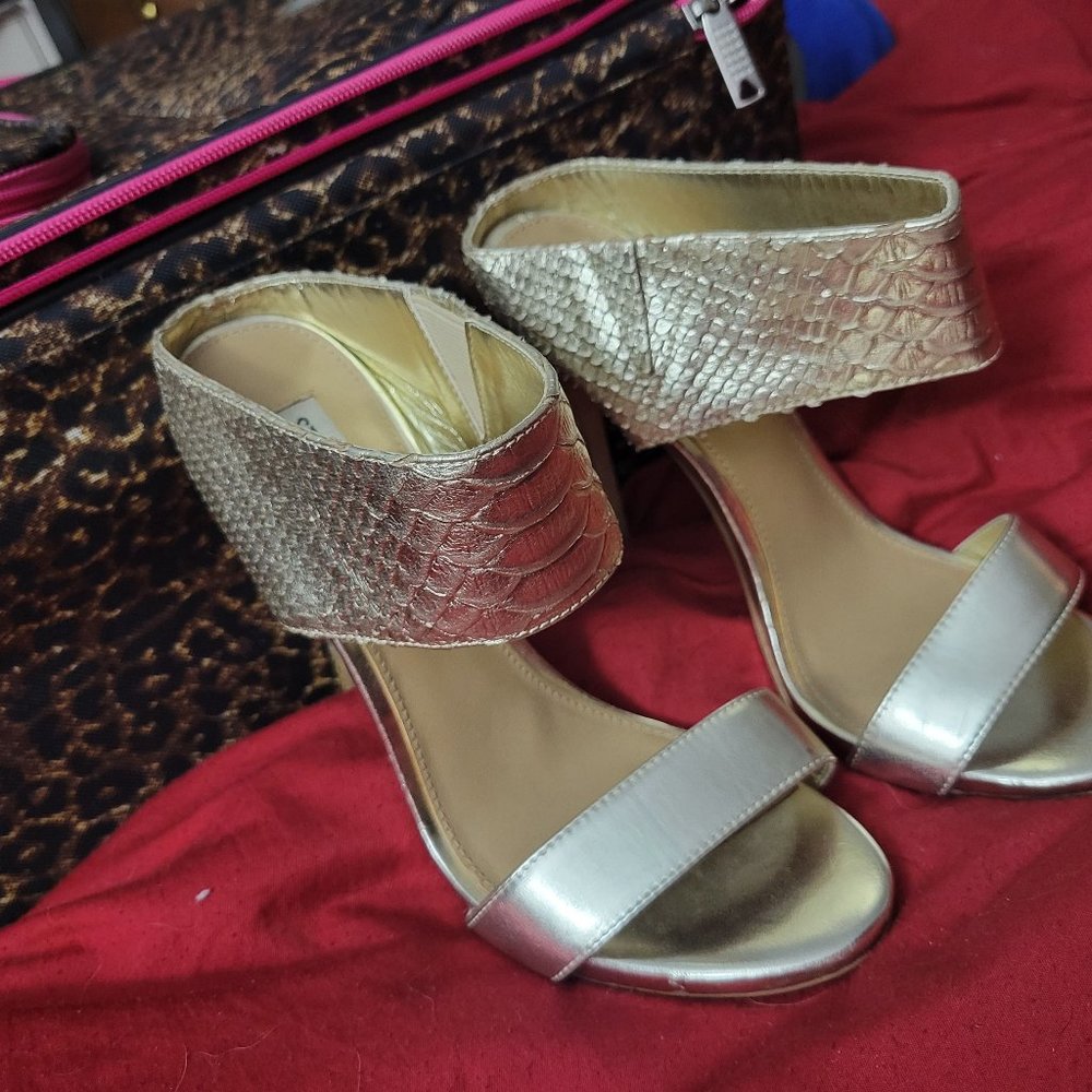 Steve madden